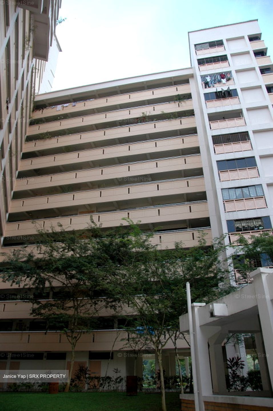 Blk 517 Pangshan Valley (Bukit Panjang), HDB Executive #606817001